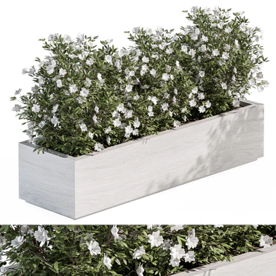 Outdoor Plant Set 304 - Plant Box — Ver 1