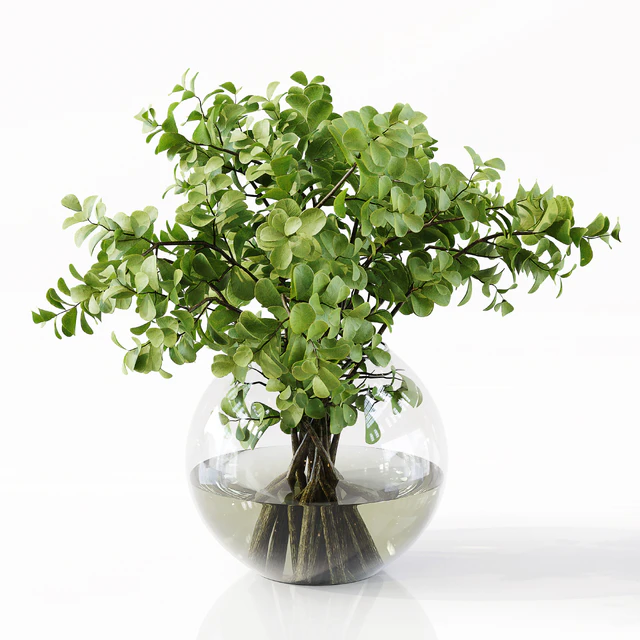 Collection Indoor Plants 049 — Descargar