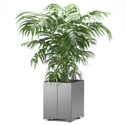 Palm tree in a pot 03 (CAPE Collection) — Вид 3