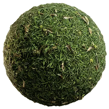 wild grass 049 — Скачать