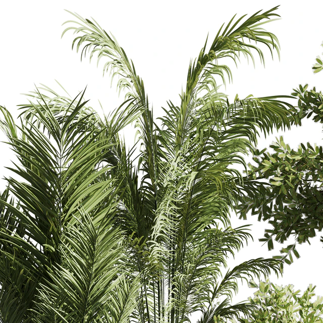 indoor plant set 57 — Скачать