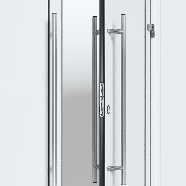 Aluminium door with partitions — Descargar