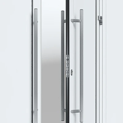 Aluminium door with partitions — Ver 3