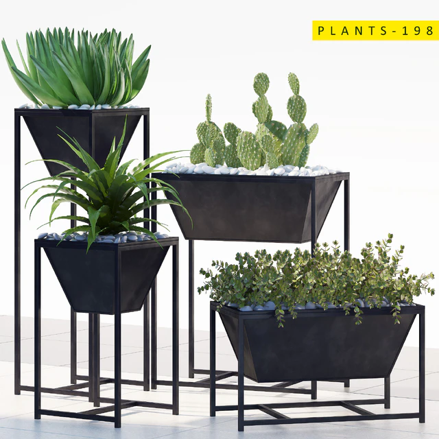 PLANTS 198 — Descargar