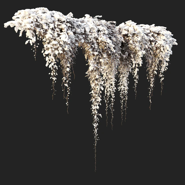 Hanging plant 40 — Descargar