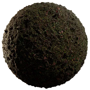 moist lakebed growth 002 — Descargar