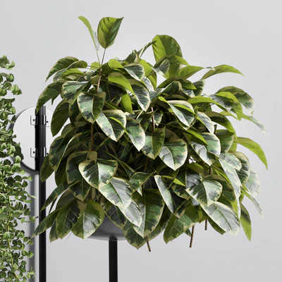 collection Indoor plant 135 vase metal stand wall plant — Вид 6
