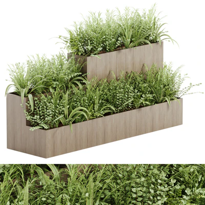 indoor plant Set 21 — скачать