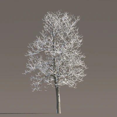 066 winter — Descargar