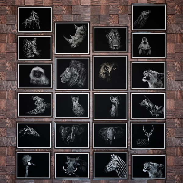 Paintings set 01 & Picture lamp paulmann — Скачать