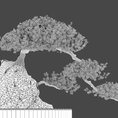 Bonsai plant 04 — Вид 5