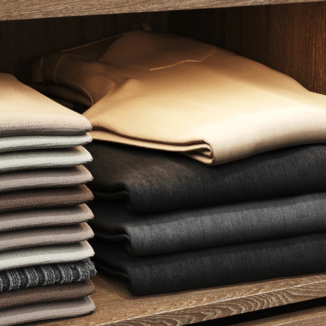 Wardrobe with filling and two front options — Descargar