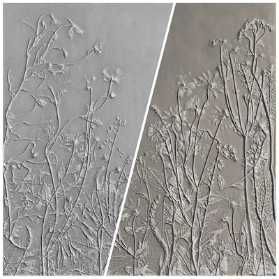 Botanical bas-relief gypsum wall decorative panel juniper dried flowers plants flora chamomile hogweed — Ver 6
