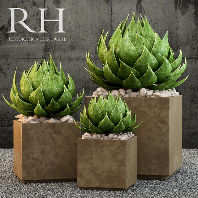 Restoration Hardware metera planter — Скачать