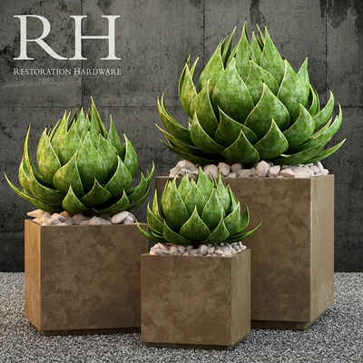 Restoration Hardware metera planter — Вид 1
