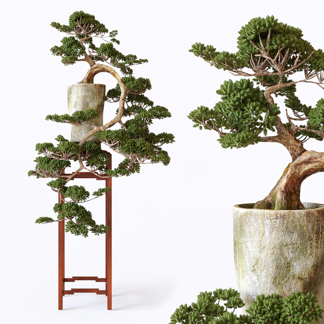 Bonsai — Descargar