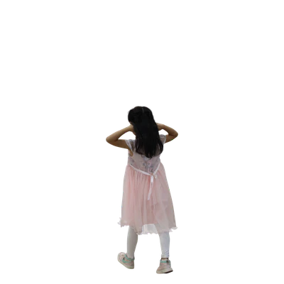 258 — Descargar