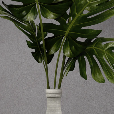 Monstera leaf in vase — Ver 2