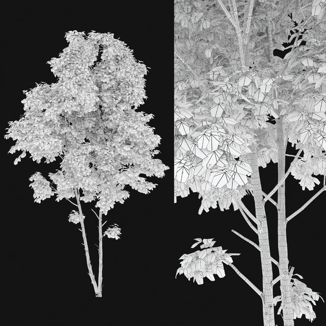 Eucalyptus 2 — Скачать