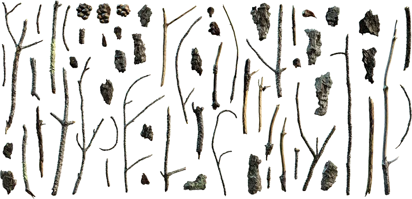 pine debris 008 — Скачать