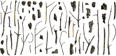pine debris 008 — Скачать
