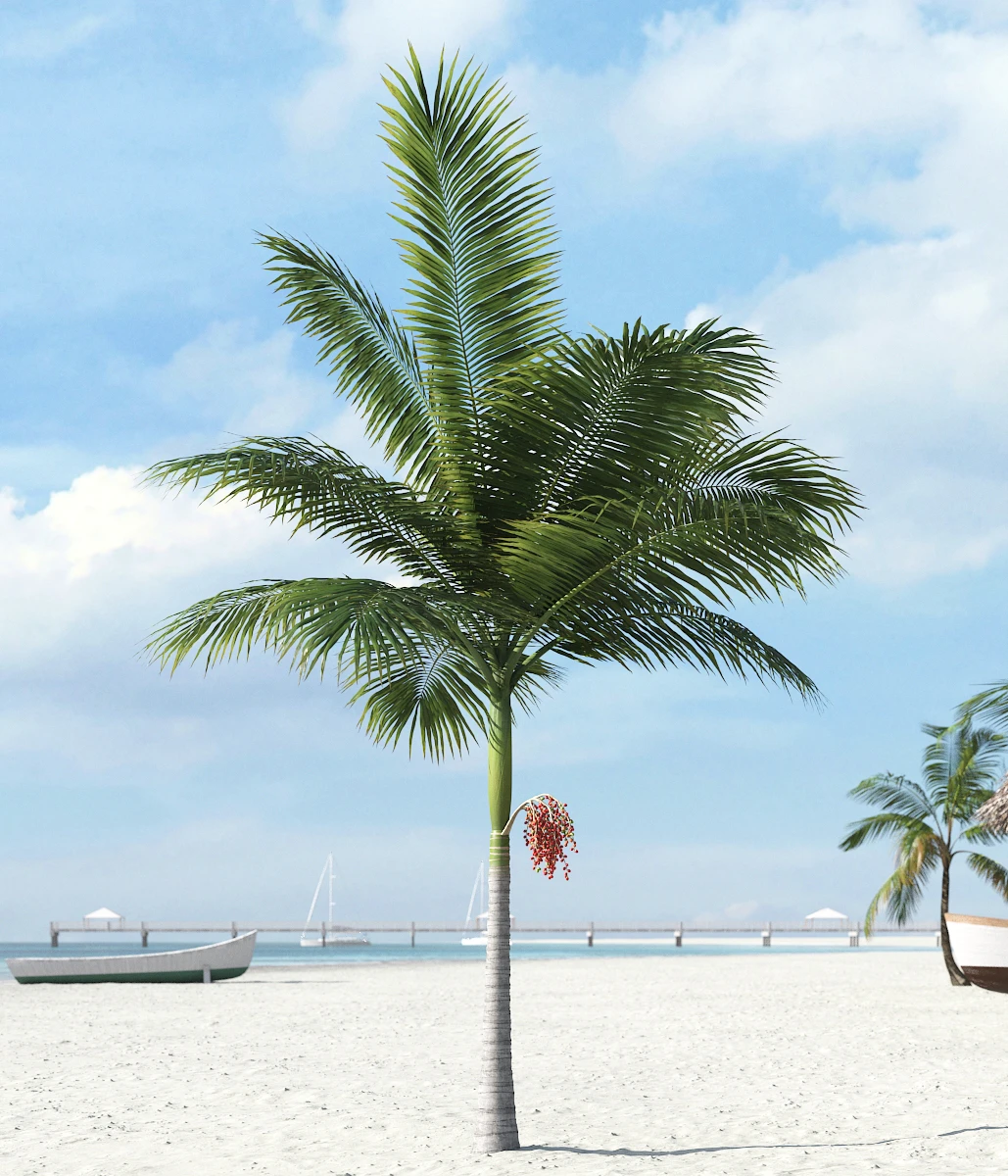 palm trees 006 — Скачать