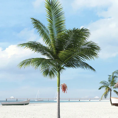 palm trees 006 — Скачать