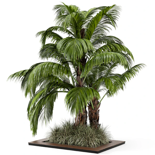 Outdoor Garden set bush and Tree - Garden Set 331 — Скачать