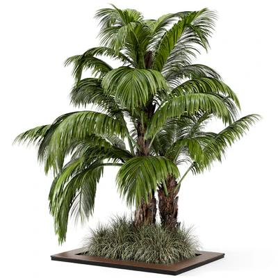 Outdoor Garden set bush and Tree - Garden Set 331 — Вид 4