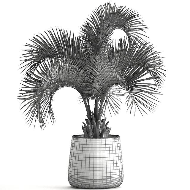 Lush interior palm tree in a metal loft pot with Butia. 995. — Descargar