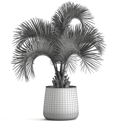 Lush interior palm tree in a metal loft pot with Butia. 995. — Ver 7