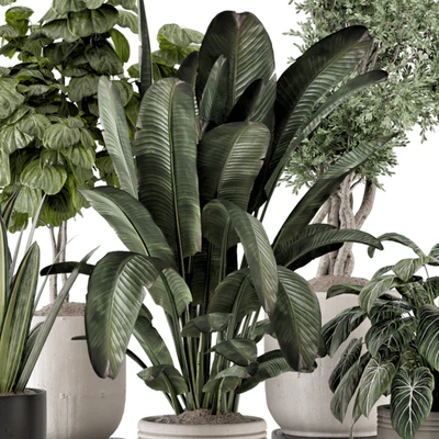 Indoor Plants in rusty Concrete Pot - Set 1286 — View 6
