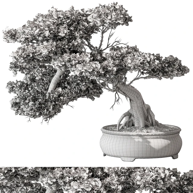 indoor Plant 584 - Bonsai Plant — Скачать