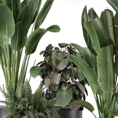 Indoor Plants in Ferm Living Bau Pot Large - Set 1256 — View 6