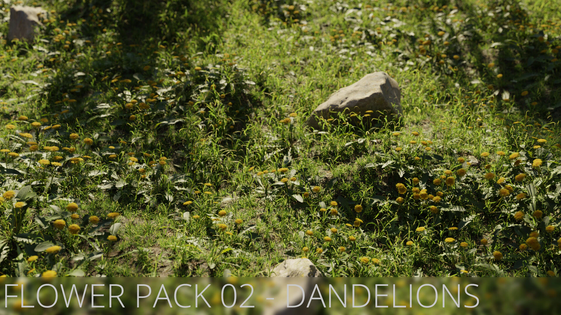 flower pack 002 dandelions — Скачать