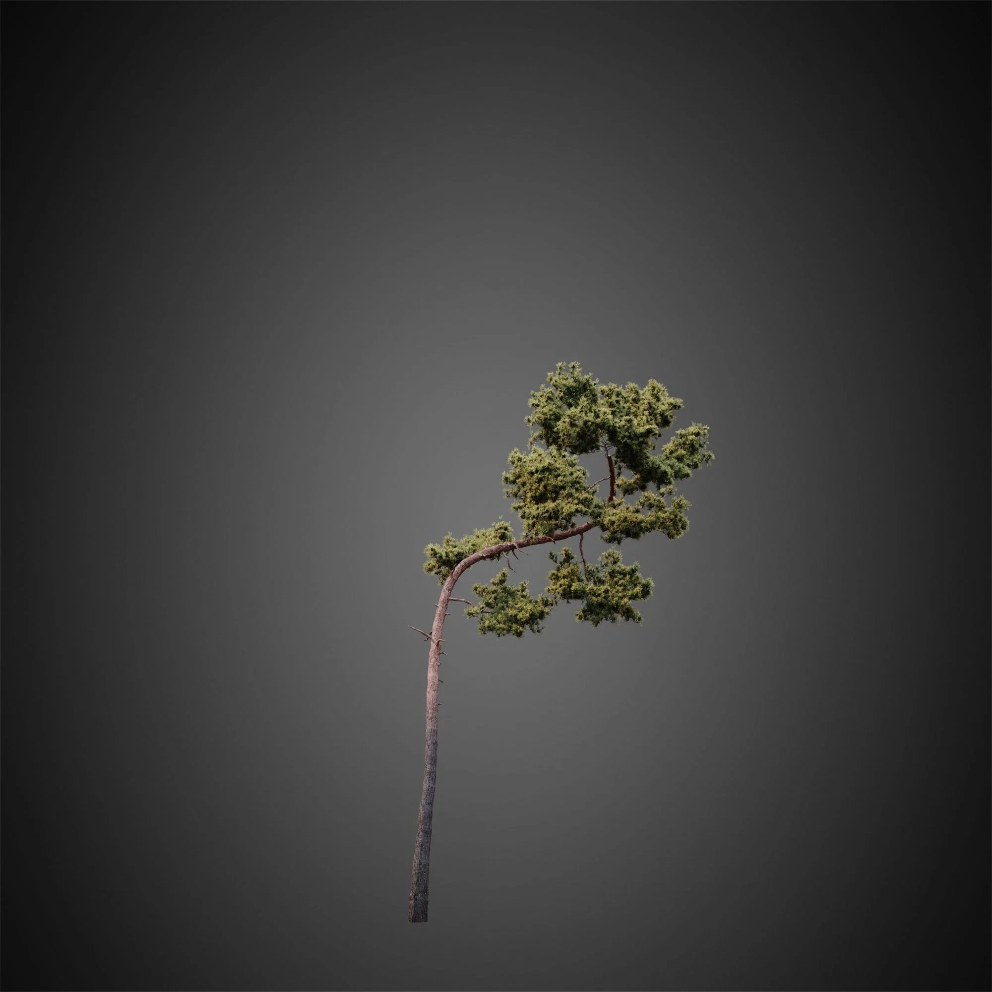 012 — Скачать