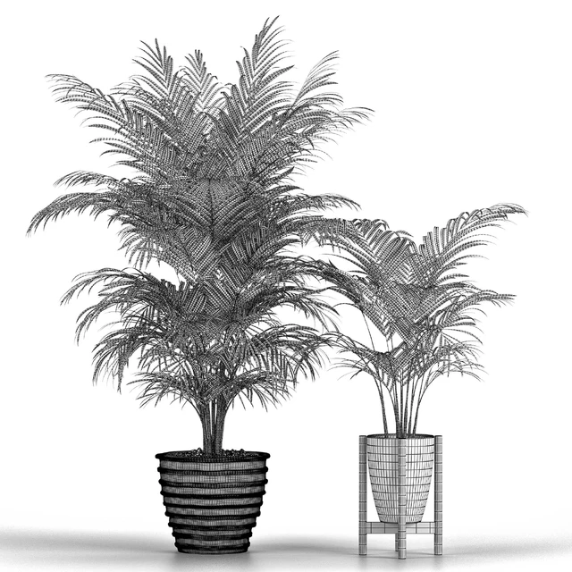 Set of plants No. 3 (Areca palm, fern) — Descargar