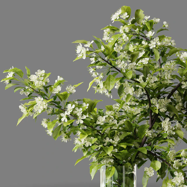 Bouquet blooming branch, spring flowers in a glass vase — Descargar