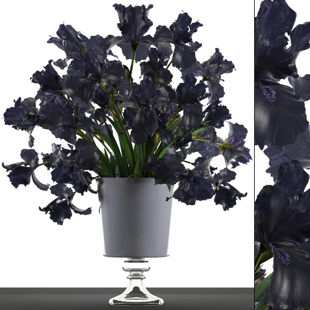 Collection of flowers 46. Black Irises. Black Irises, vase, table decor, luxury — Descargar