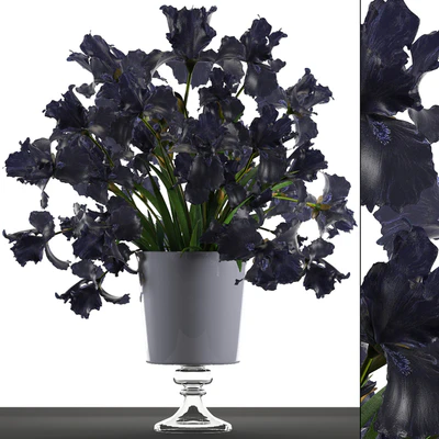 Collection of flowers 46. Black Irises. Black Irises, vase, table decor, luxury — Ver 1