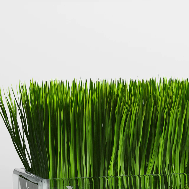 Grass Arrangement — Скачать