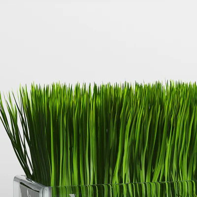 Grass Arrangement — Вид 3
