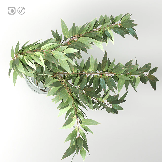 Bouquet 4 — Descargar