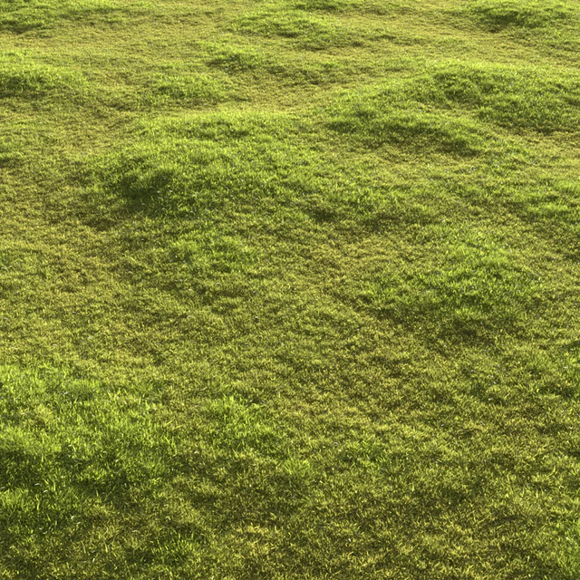 Garden grass — Descargar