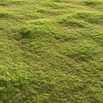 Garden grass — Ver 1