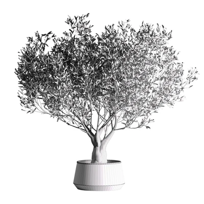indoor plant set 09 — Вид 3