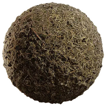 grass dried 029 — Descargar