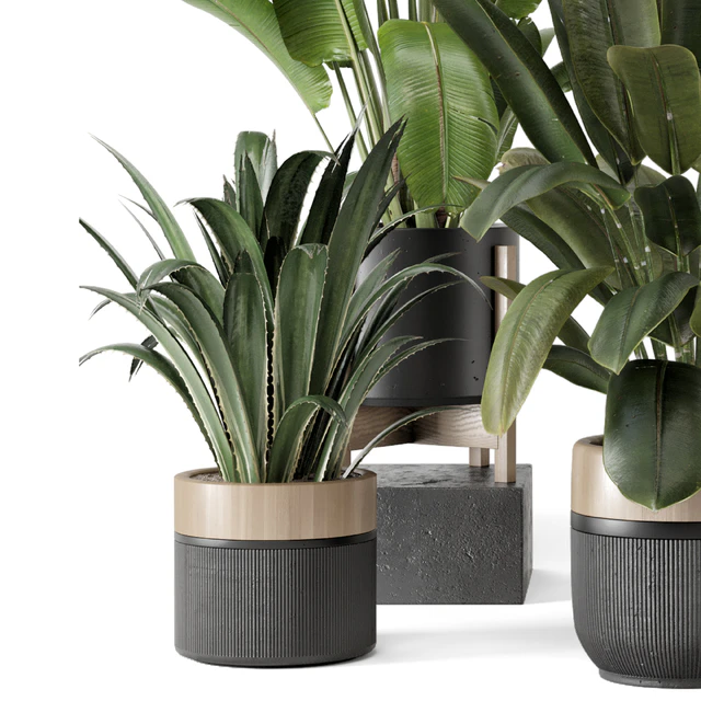 Indoor Plants in Ferm Living Bau Pot Large - Set 1947 — Download