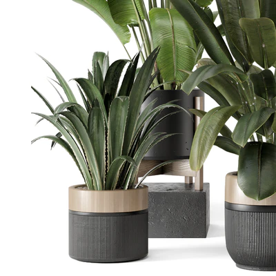 Indoor Plants in Ferm Living Bau Pot Large - Set 1947 — View 7