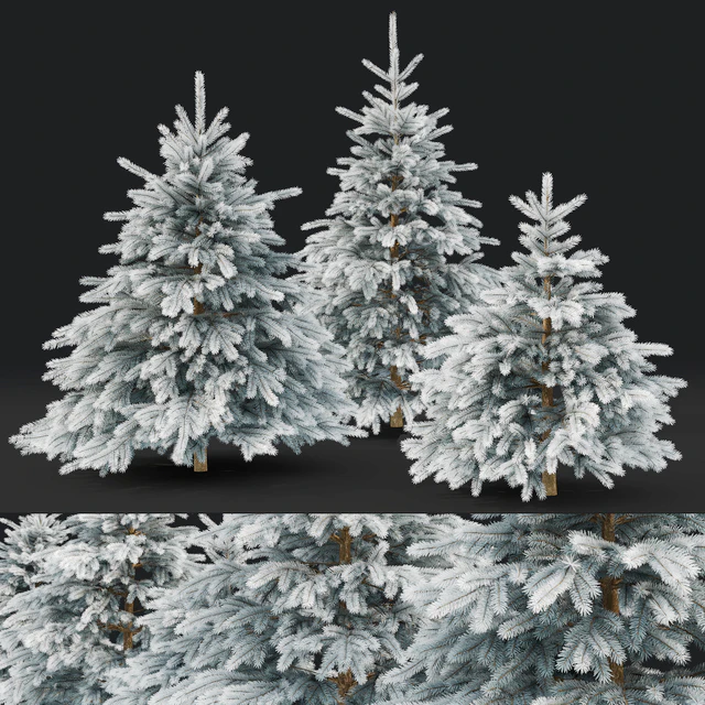 Spruce winter — Скачать